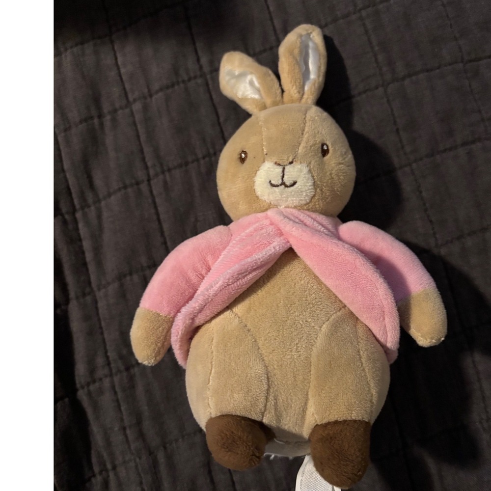 The World of Beatrix Potter Peter Rabbit Plush Pink Flower Floppy Bunny 2017‎